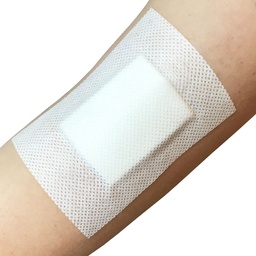 [600] ADHESIVE WOUND DRESSING 9*10CM