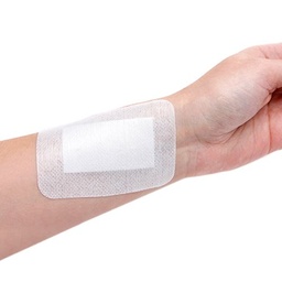 [3500376] AIDPLAST TRANS WOUND DRESSING 9X10CM