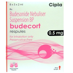 [761] BUDECORT RESPULES 0.5*2ML 5S