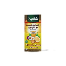 [505] CHAMAIN ZHOURAT SHAMIA&amp;LEMON 20S