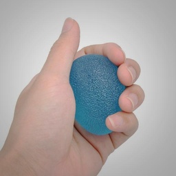 [868] EXERCISER BALL(EGG SHAPE) 1S